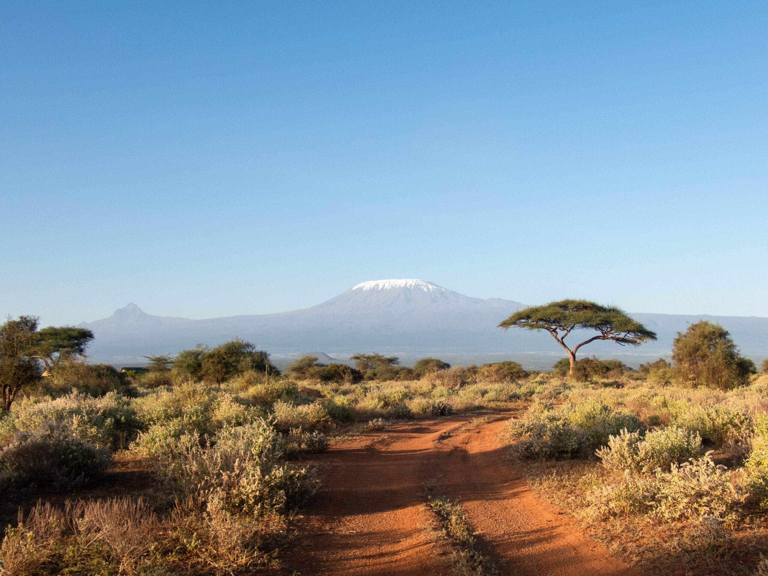 Amboseli-5160346